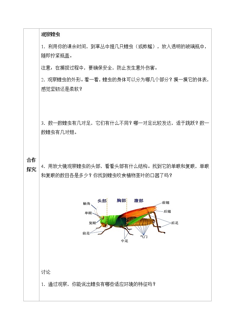 七下生物（苏科版）12.2 昆虫 PPT课件+教案02
