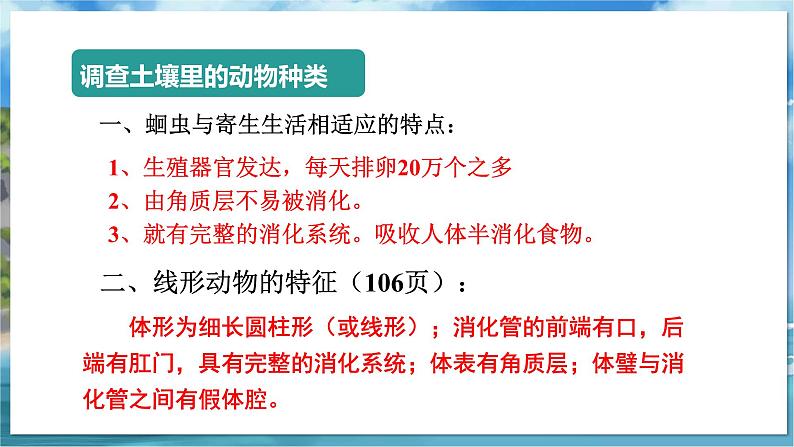 七下生物（苏科版）13.1 土壤里的小动物 PPT课件+教案08