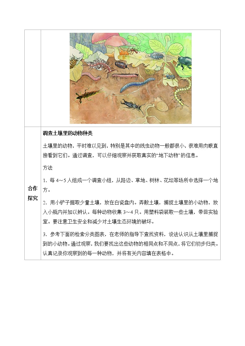七下生物（苏科版）13.1 土壤里的小动物 PPT课件+教案02
