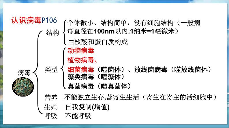 教学同步课件七下生物（苏科版）13.2 土壤里的微生物 第1课时第7页