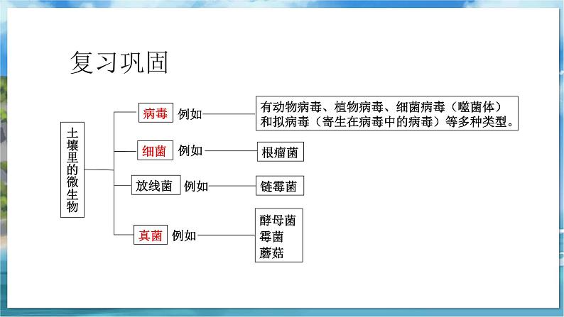 教学同步课件七下生物（苏科版）14.1 生物的命名和分类 第1课时第2页