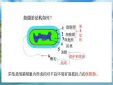 七下生物（苏科版）14.1 生物的命名和分类 第1课时 PPT课件+教案