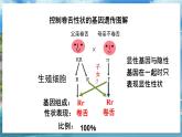 八下生物（苏科版）22.1 生物的遗传 第3课时 PPT课件+教案