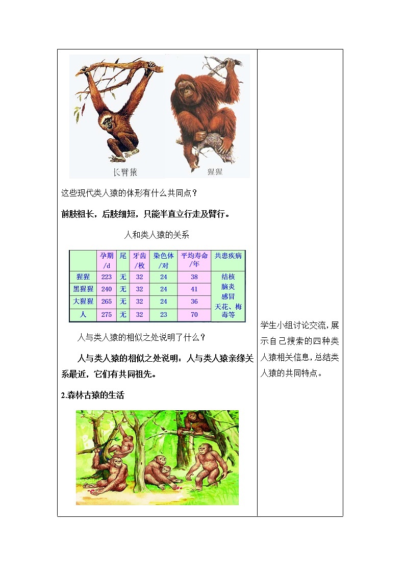 八下生物（苏科版）23.4 人类的起源和进化 PPT课件+教案03
