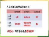八下生物（苏科版）23.4 人类的起源和进化 PPT课件+教案