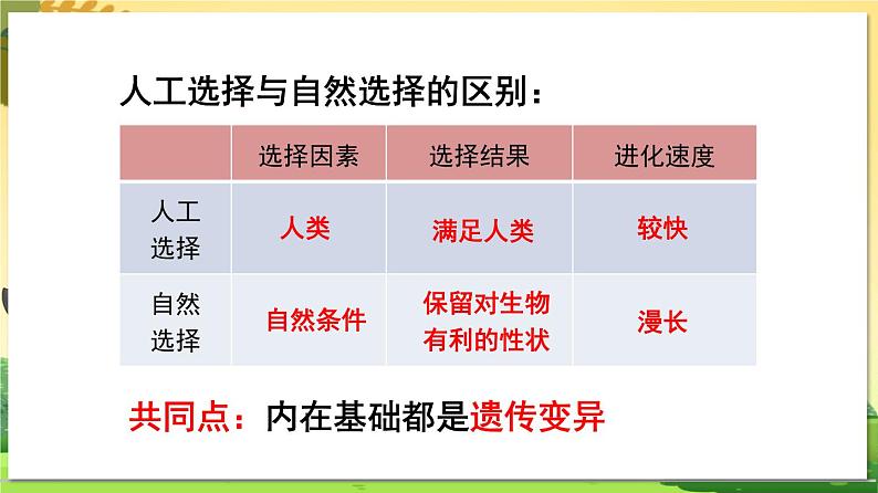 八下生物（苏科版）23.4 人类的起源和进化 PPT课件+教案03