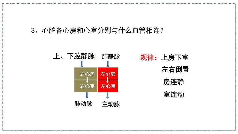 15.1 人体内物质的运输（第3课时）（八年级生物上苏科版教学课件）04