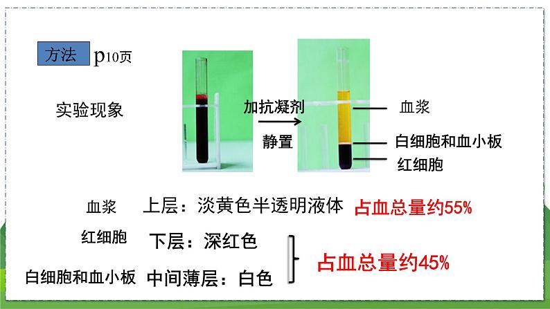 15.1 人体内物质的运输（第3课时）（八年级生物上苏科版教学课件）08