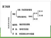 15.2 人体内废物的排出（第2课时）（八年级生物上苏科版教学课件）