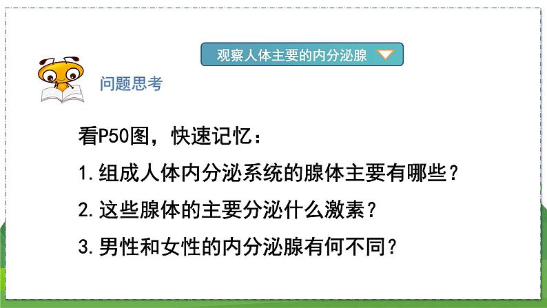 16.3 人体的激素调节（八年级生物上苏科版教学课件）第5页