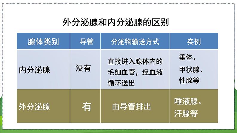 16.3 人体的激素调节（八年级生物上苏科版教学课件）第8页