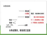 17.2 动物的行为（第1课时）（八年级生物上苏科版教学课件）