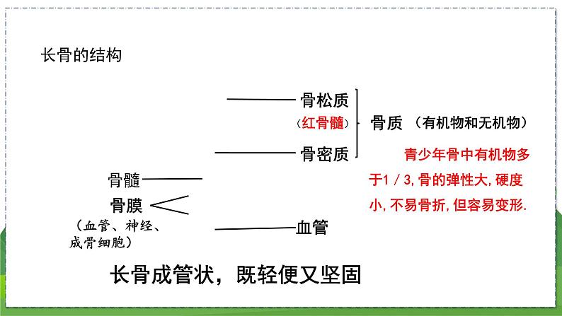 17.2 动物的行为（第1课时）（八年级生物上苏科版教学课件）04