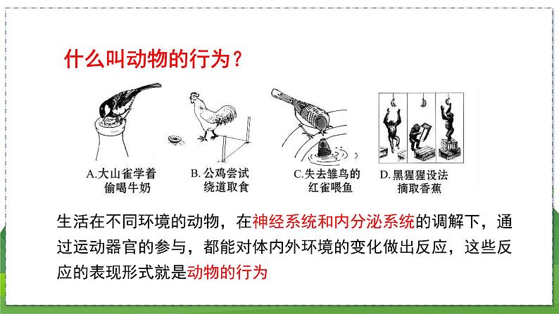 17.2 动物的行为（第1课时）（八年级生物上苏科版教学课件）08