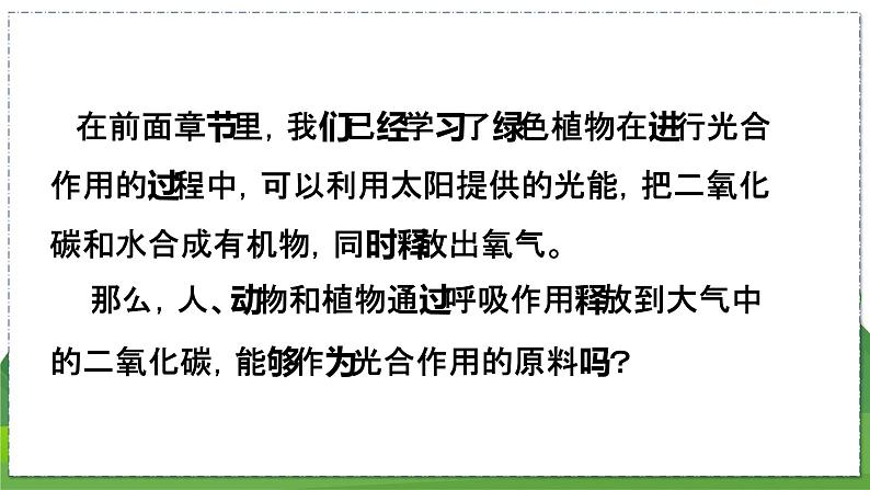 18.2 绿色植物与生物圈中的碳-氧平衡（八年级生物上苏科版教学课件）06