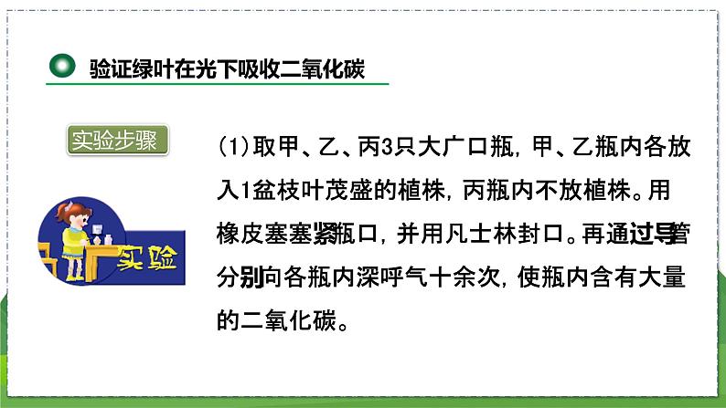 18.2 绿色植物与生物圈中的碳-氧平衡（八年级生物上苏科版教学课件）08