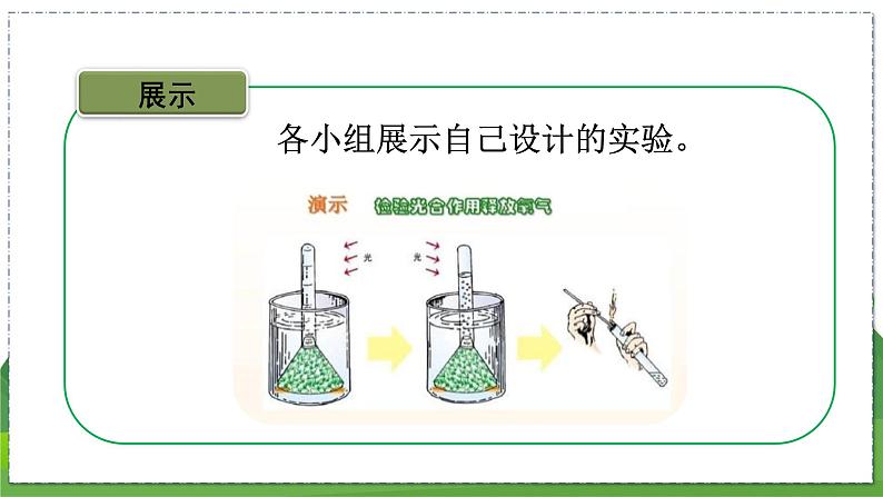 18.2 绿色植物与生物圈中的碳-氧平衡（八年级生物上苏科版教学课件）04