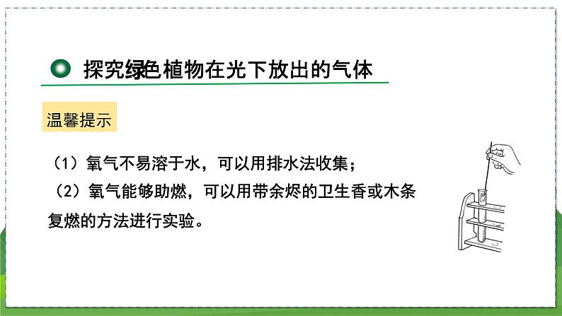 18.2 绿色植物与生物圈中的碳-氧平衡（八年级生物上苏科版教学课件）06