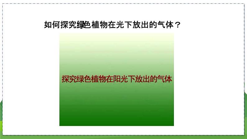 18.2 绿色植物与生物圈中的碳-氧平衡（八年级生物上苏科版教学课件）08