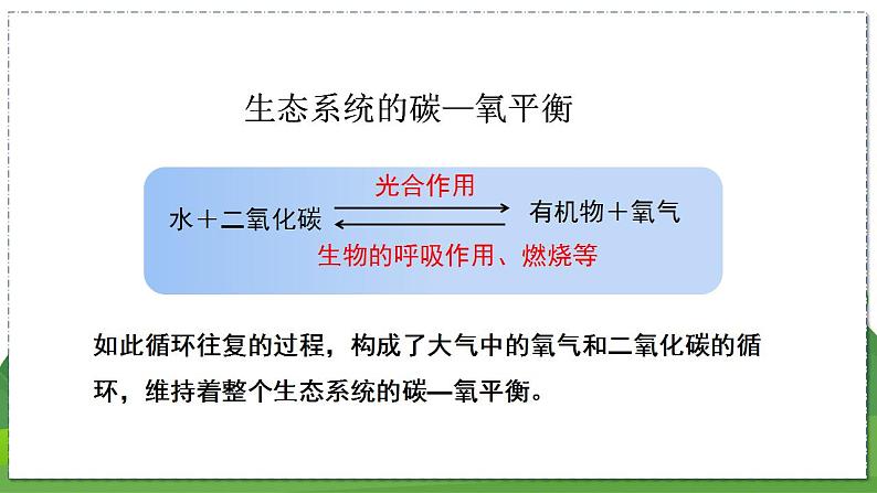 18.3 生态系统的自我调节（八年级生物上苏科版教学课件）第3页