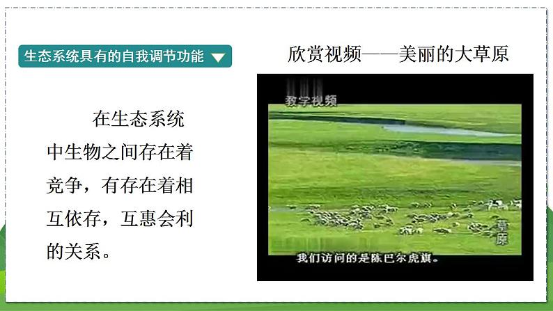 18.3 生态系统的自我调节（八年级生物上苏科版教学课件）第6页