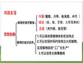 19.2 植物的生长发育（第1课时）（八年级生物上苏科版教学课件）