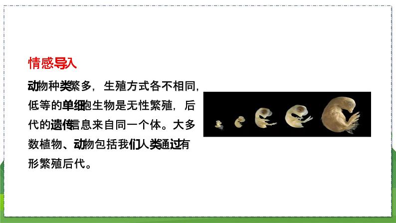 20.1 动物的生殖（八年级生物上苏科版教学课件）03