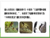 20.1 动物的生殖（八年级生物上苏科版教学课件）