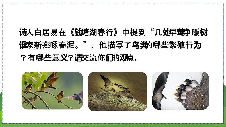 20.1 动物的生殖（八年级生物上苏科版教学课件）05