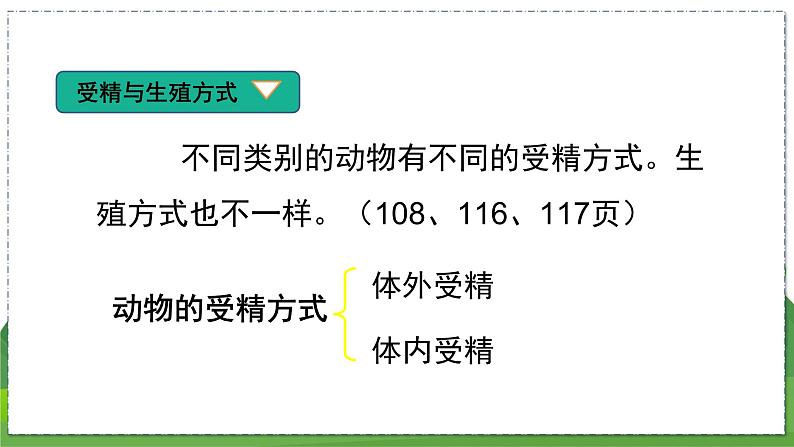 20.1 动物的生殖（八年级生物上苏科版教学课件）07