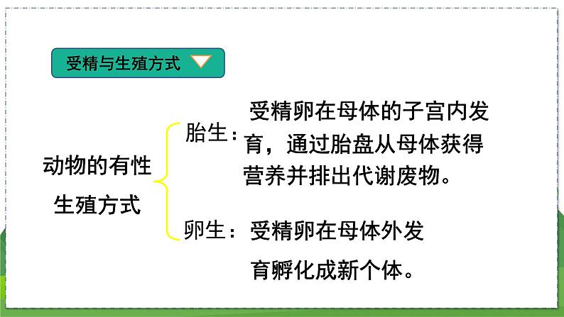 20.1 动物的生殖（八年级生物上苏科版教学课件）08