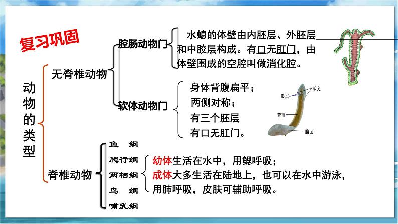 教学同步课件七下生物（苏科版）10.1 水中生物 第2课时第1页