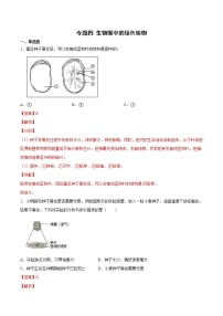 中考生物二轮精准高效复习专题04 生物圈中的绿色植物（综合提分练）（教师版）