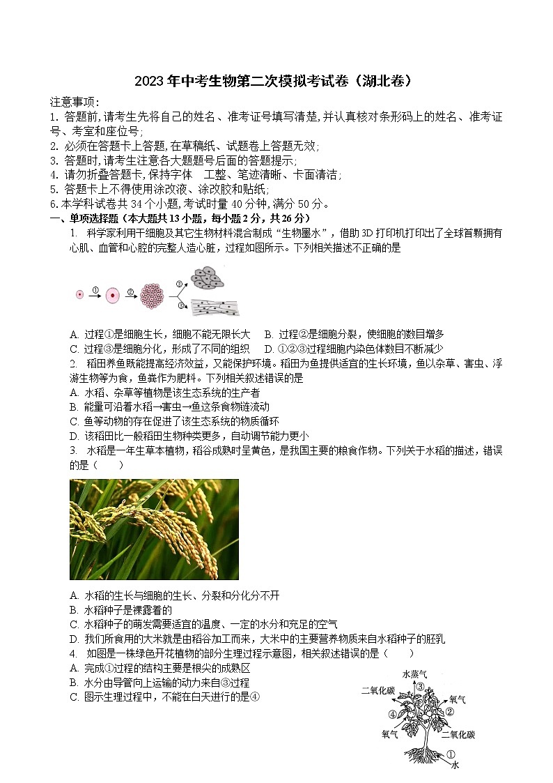 2023年中考第二次模拟考试卷：生物-湖北卷（考试版）A4第1页