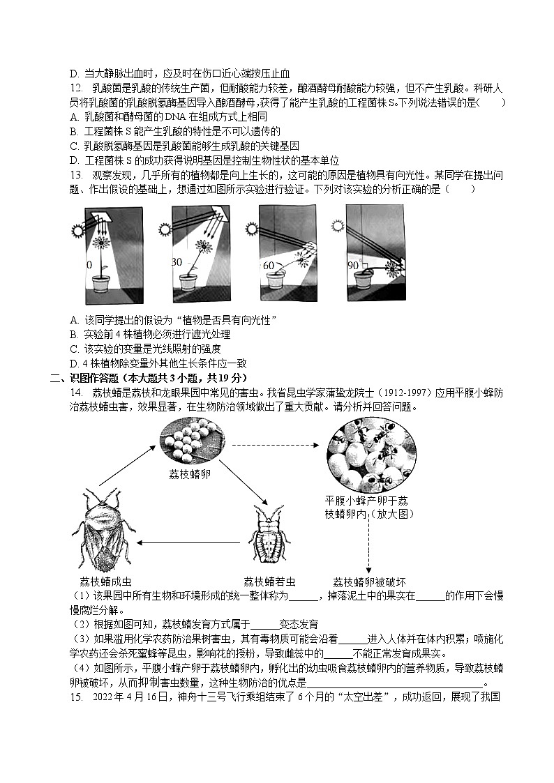 2023年中考第二次模拟考试卷：生物-湖北卷（考试版）A4第3页