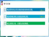 人教版生物7年级下册　第一章 第二节 人的生殖 PPT课件