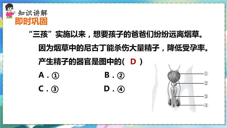 人教版生物7年级下册　第一章 第二节 人的生殖 PPT课件07