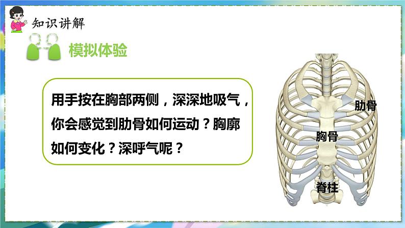 人教版生物7年级下册　第三章 第二节 发生在肺内的气体交换 PPT课件06