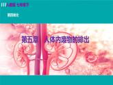 人教版生物7年级下册　第五章  人体内废物的排出 PPT课件