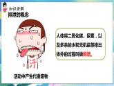 人教版生物7年级下册　第五章  人体内废物的排出 PPT课件