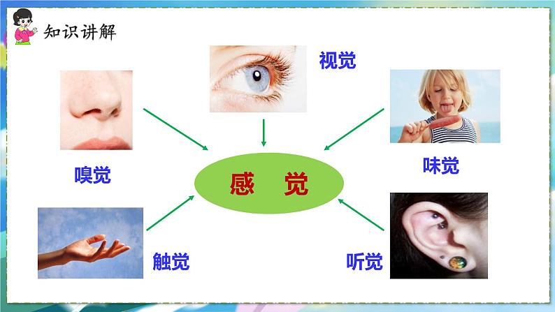 第一节　人体对外界环境的感知第5页