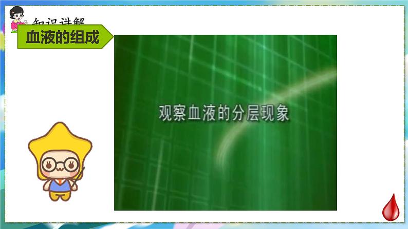 人教版生物7年级下册　第四章 第一节　流动的组织——血液 PPT课件05