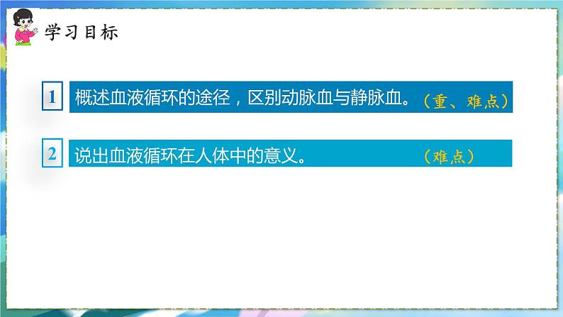 人教版生物7年级下册　第四章 第三节  输送血液的泵——心脏 PPT课件03