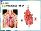 人教版生物7年级下册　第四章 第三节  输送血液的泵——心脏 PPT课件