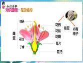 人教版生物8年级下册　第一章 第一节 植物的生殖 PPT课件