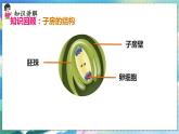 人教版生物8年级下册　第一章 第一节 植物的生殖 PPT课件