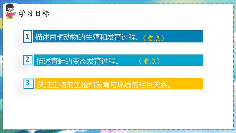 人教版生物8年级下册　第一章 第三节 两栖动物的生殖和发育 PPT课件03