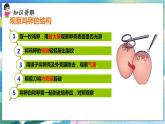 人教版生物8年级下册　第一章 第四节 鸟的生殖和发育 PPT课件