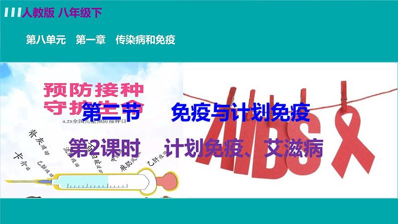 人教版生物8年级下册　第一章 第二节  免疫与计划免疫 PPT课件02