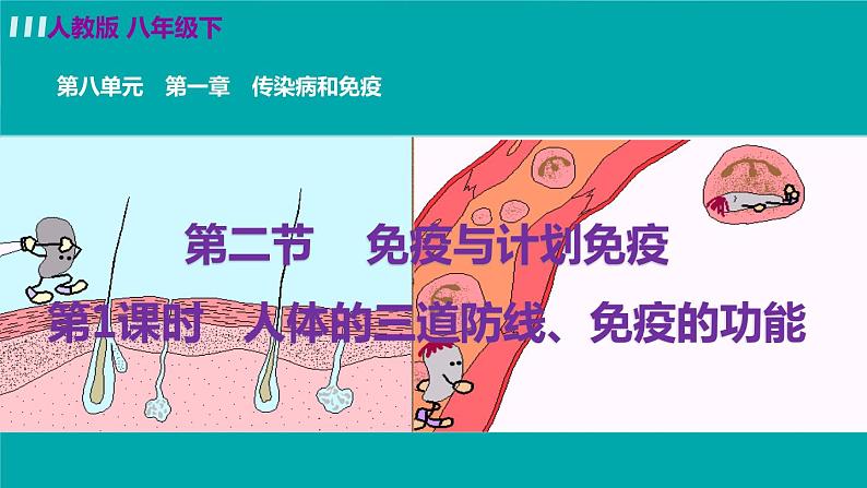 人教版生物8年级下册　第一章 第二节  免疫与计划免疫 PPT课件02